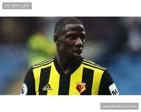 门兴格拉德巴赫今夏转会动态：阵容调整与引援策略分析